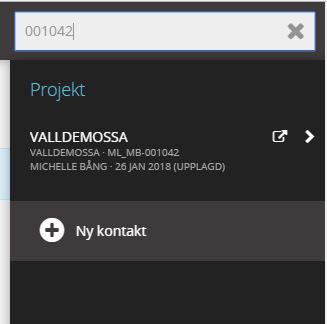 projekt
